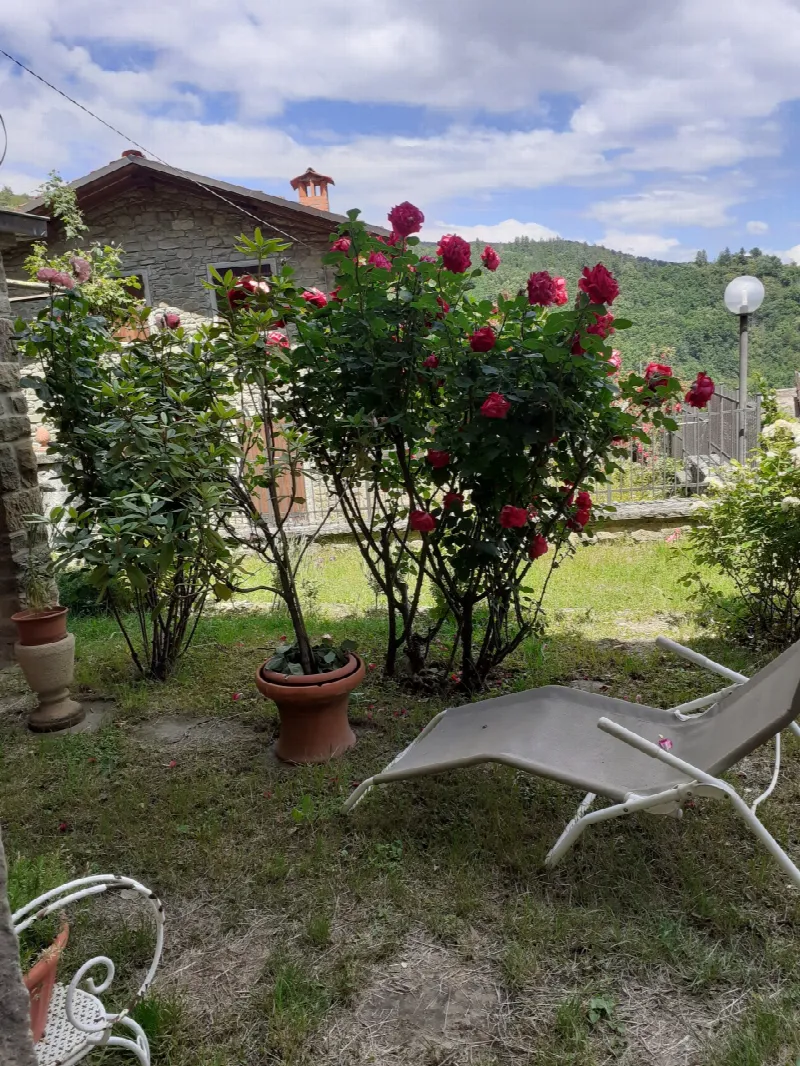 Villa in vendita a Castel San Niccolò - foto 9