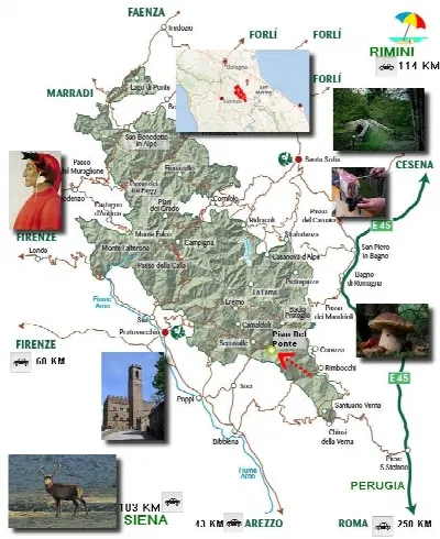 Villa in vendita a Bibbiena - foto 4