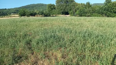 Rustico/Casale in vendita a Bibbiena - foto 1
