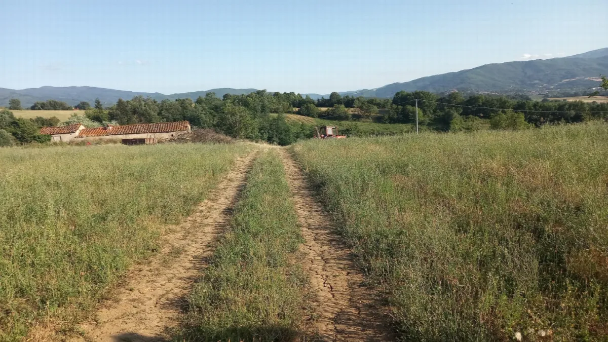 Rustico/Casale in vendita a Bibbiena - foto 4