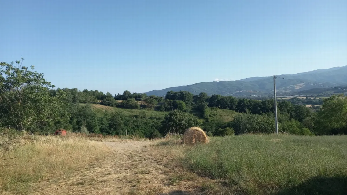 Rustico/Casale in vendita a Bibbiena - foto 5