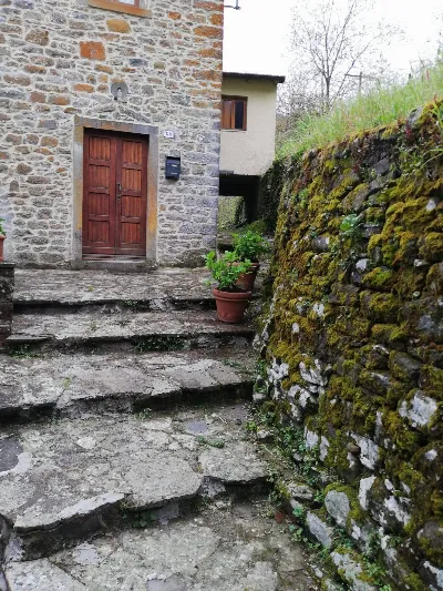 Villa in vendita a Ortignano Raggiolo - foto 4