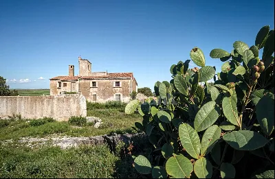 Rustico/Casale in vendita a Siracusa, Isol... - foto 7