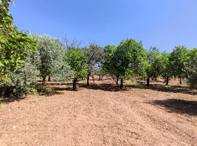 Rustico/Casale in vendita a Noto - foto 1