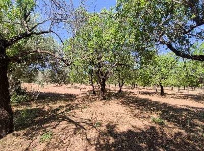 Rustico/Casale in vendita a Noto - foto 10