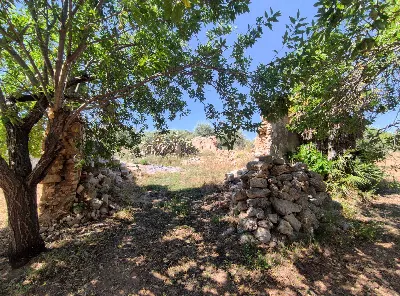 Rustico/Casale in vendita a Noto - foto 3