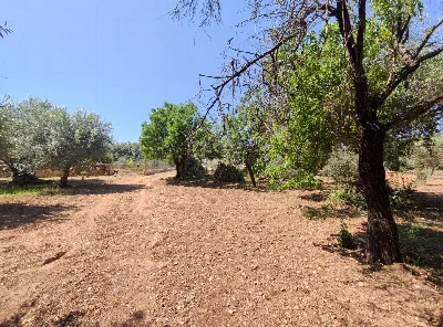 Rustico/Casale in vendita a Noto - foto 8