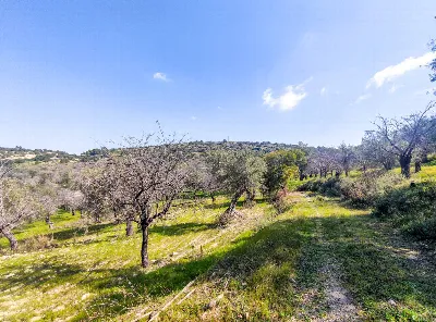 Rustico/Casale in vendita a Noto - foto 10