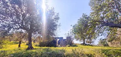 Rustico/Casale in vendita a Noto - foto 2