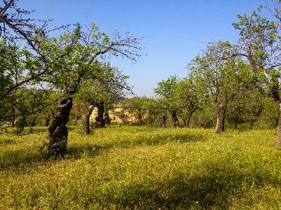 Rustico/Casale in vendita a Noto - foto 5