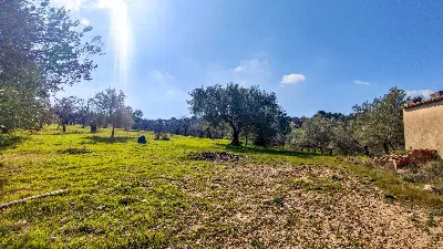 Rustico/Casale in vendita a Noto - foto 6