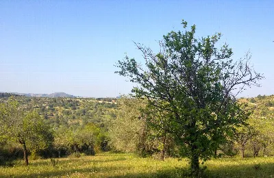 Rustico/Casale in vendita a Noto - foto 7