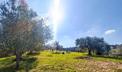Rustico/Casale in vendita a Noto - foto 8