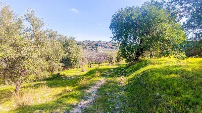 Rustico/Casale in vendita a Noto - foto 9