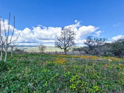 Villa in vendita a Nissoria - foto 8