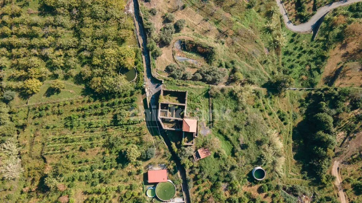 Rustico/Casale in vendita a Giarre - foto 2
