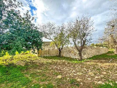 Rustico/Casale in vendita a Noto - foto 4