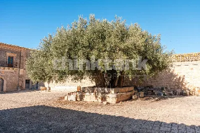 Rustico/Casale in vendita a Ragusa, Puntar... - foto 9