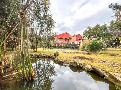 Villa in vendita a Zafferana Etnea - foto 2