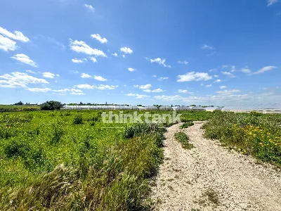 Rustico/Casale in vendita a Noto - foto 10