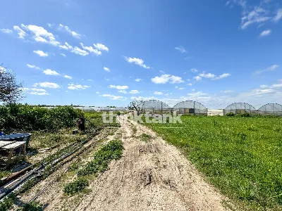 Rustico/Casale in vendita a Noto - foto 7