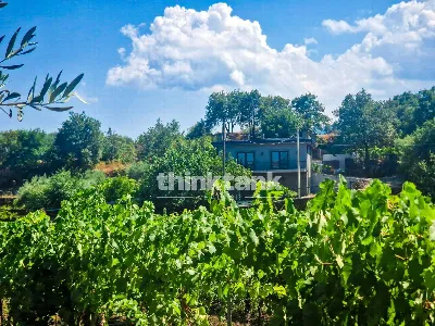 Villa in vendita a Castiglione di Sicilia - foto 6