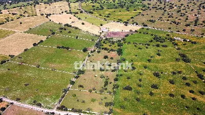 Rustico/Casale in vendita a Ragusa, Puntar... - foto 10