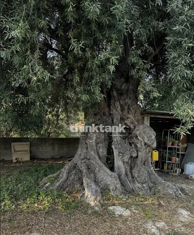 Villa in vendita a Avola - foto 5