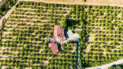 Villa in vendita a Avola - foto 1