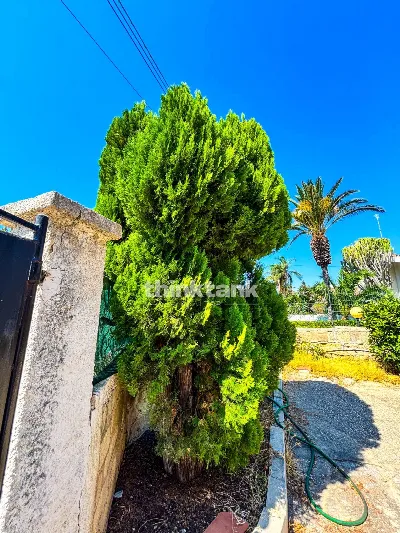 Villa in vendita a Siracusa, Arenella, ogn... - foto 5