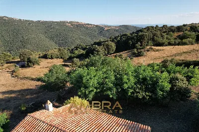 Rustico/Casale in vendita a Oschiri - foto 10