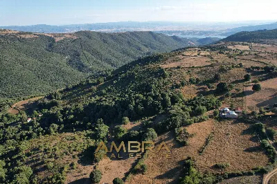 Rustico/Casale in vendita a Oschiri - foto 7