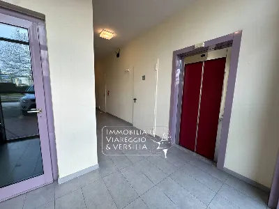 Ufficio in vendita a Camaiore - foto 2