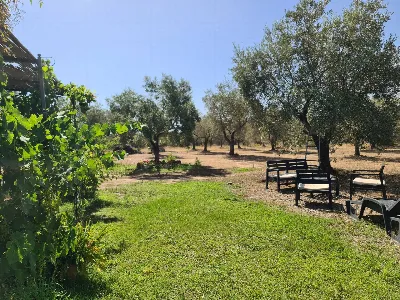 Rustico/Casale in vendita a San Vito - foto 10