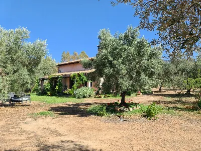 Rustico/Casale in vendita a San Vito - foto 4