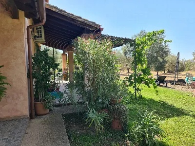 Rustico/Casale in vendita a San Vito - foto 9