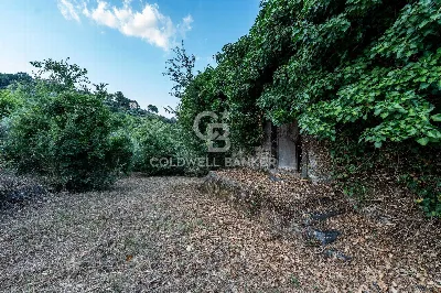 Rustico/Casale in vendita a Giarre - foto 1