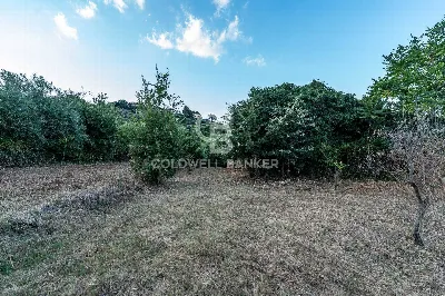Rustico/Casale in vendita a Giarre - foto 10