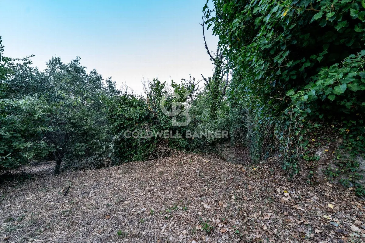 Rustico/Casale in vendita a Giarre - foto 2