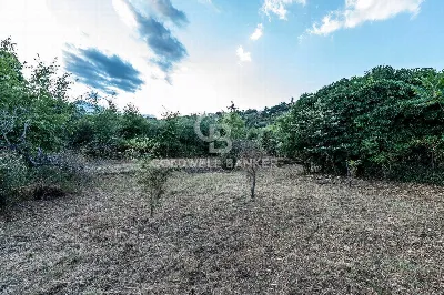 Rustico/Casale in vendita a Giarre - foto 3