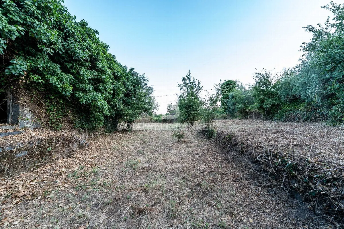 Rustico/Casale in vendita a Giarre - foto 4