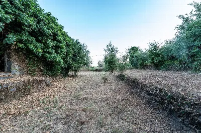 Rustico/Casale in vendita a Giarre - foto 4