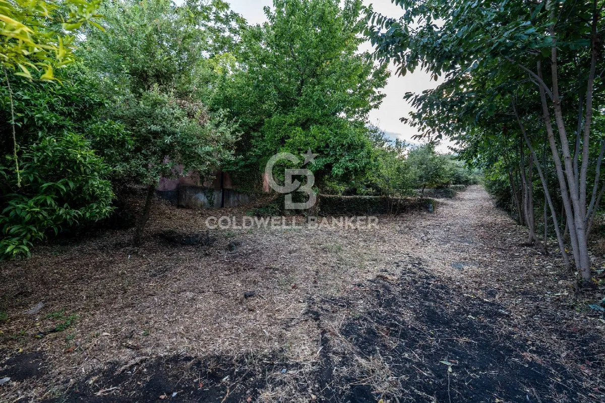 Rustico/Casale in vendita a Giarre - foto 5