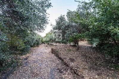 Rustico/Casale in vendita a Giarre - foto 7