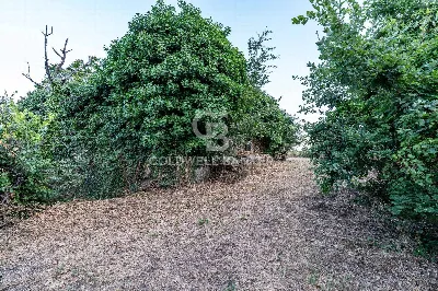 Rustico/Casale in vendita a Giarre - foto 8