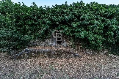 Rustico/Casale in vendita a Giarre - foto 9