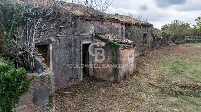 Rustico/Casale in vendita a Santa Venerina - foto 4