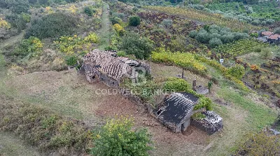 Rustico/Casale in vendita a Santa Venerina - foto 6