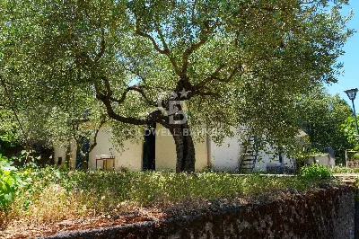 Villa in vendita a Linguaglossa - foto 6