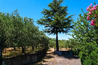 Villa in vendita a Linguaglossa - foto 7